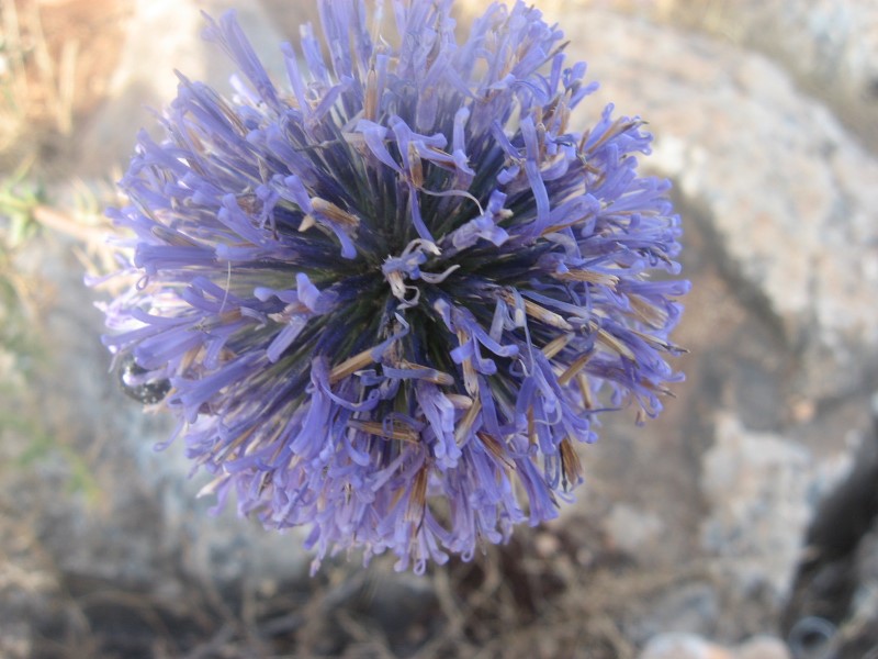../Images/Israel_Day3 048.jpg
